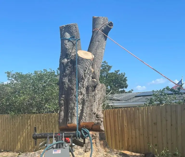 Tree removal Largo